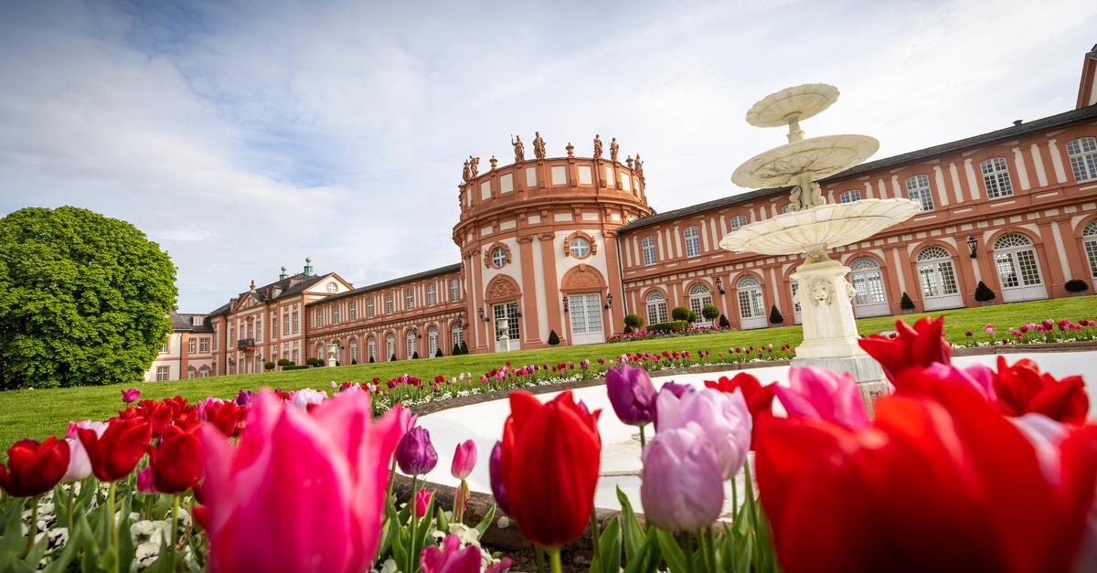 Was Ist Los In Wiesbaden Und Umgebung